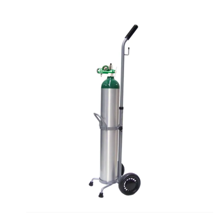 [RENTOTANK] Rent Oxygen Tank Size E Kit