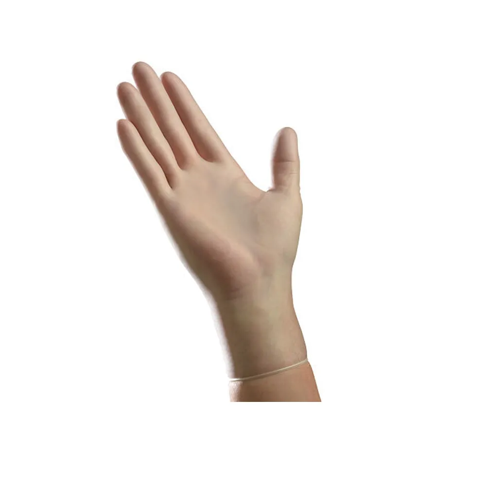 Vinyl Exam Gloves (L)